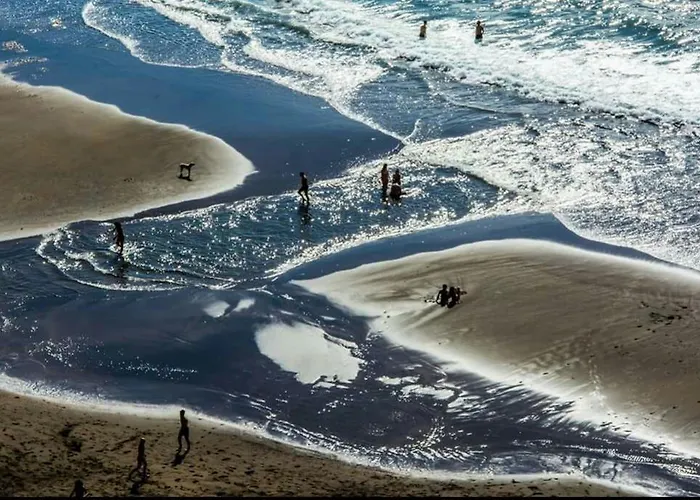 아파트 Estudios Cientouno